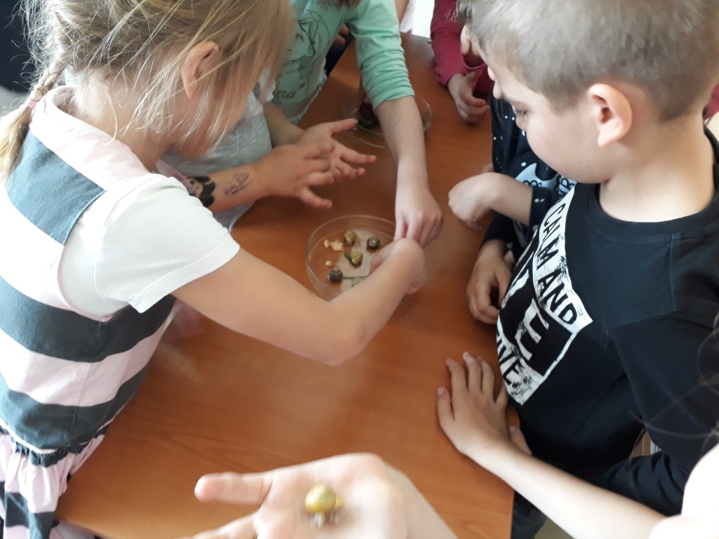 20190527_104500.jpg