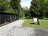 20190524_103658.jpg