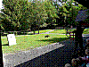 20190524_103744.jpg