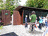 20190524_104954.jpg