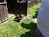 20190524_113736.jpg