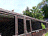 20190524_114220.jpg