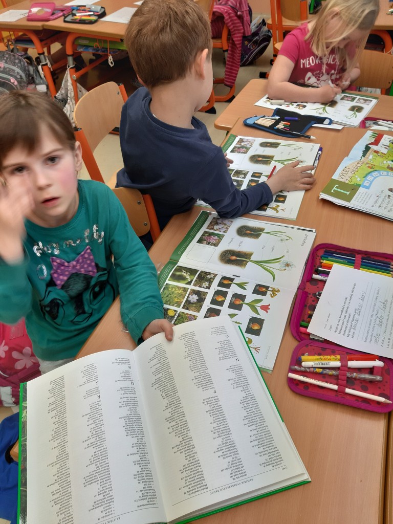 20190424_102724.jpg