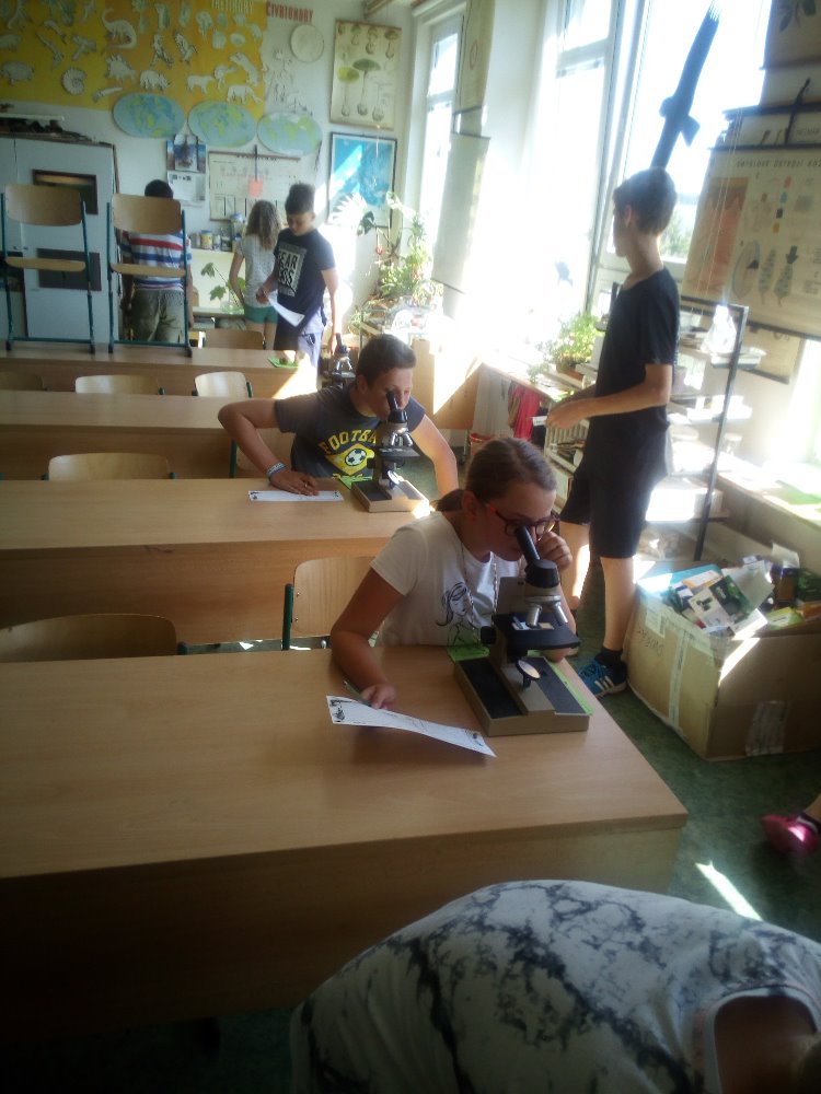IMG_20190605_094909.jpg