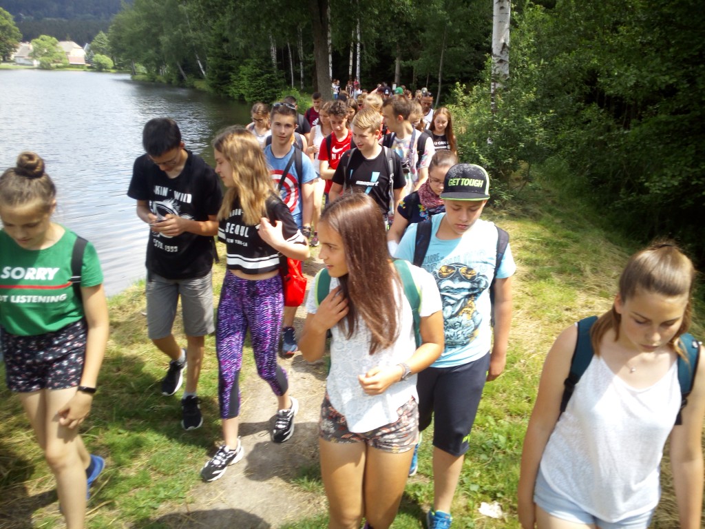 IMG_20190617_141404.jpg