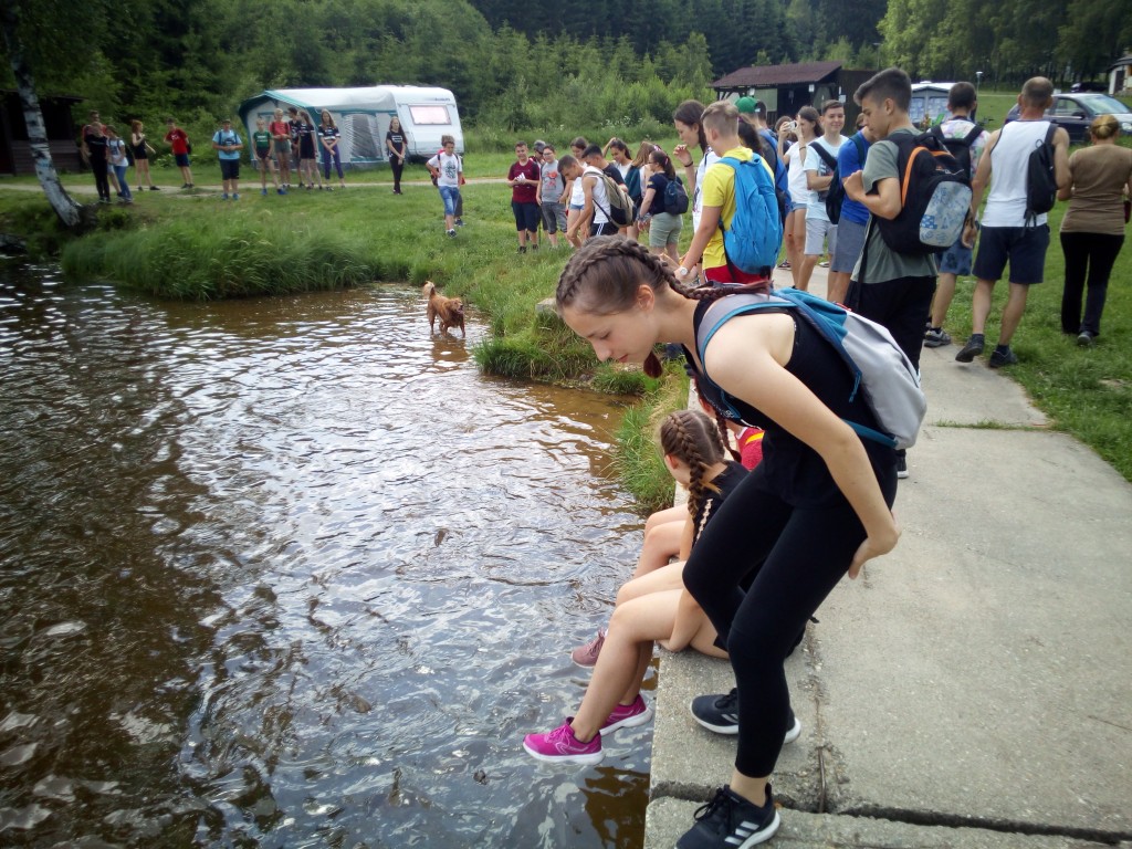 IMG_20190617_142429.jpg