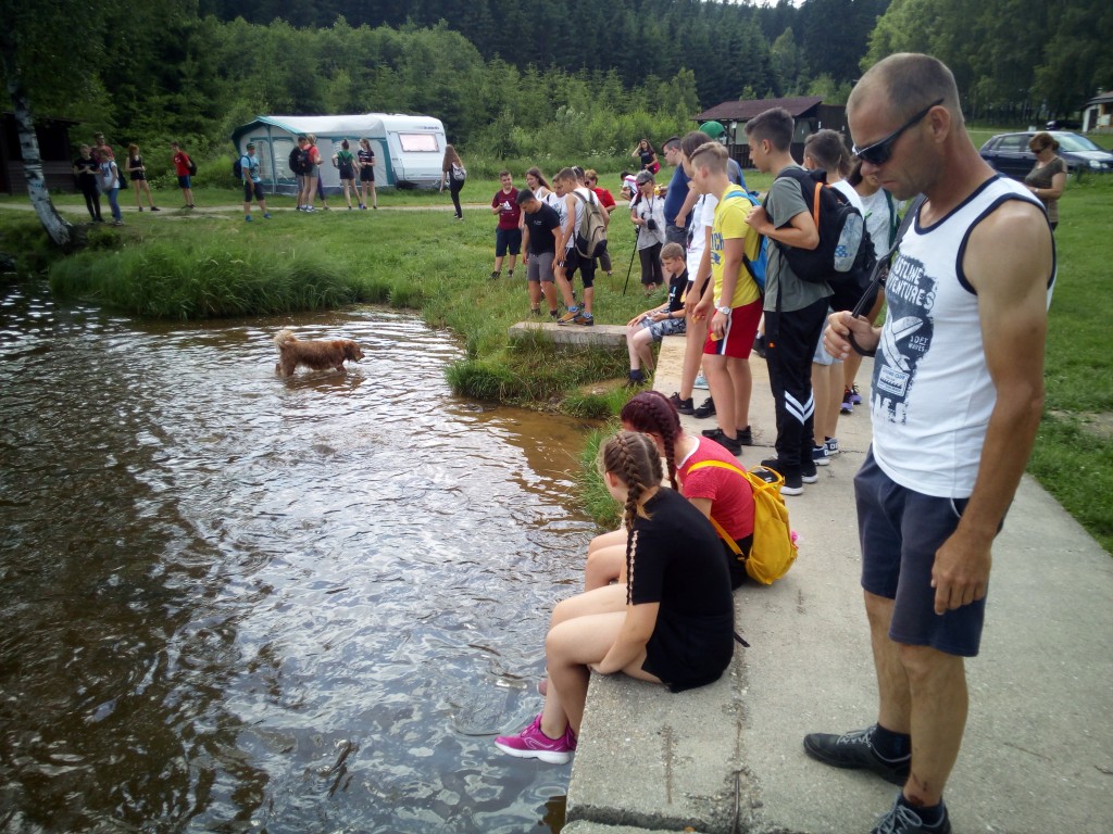 IMG_20190617_142452.jpg