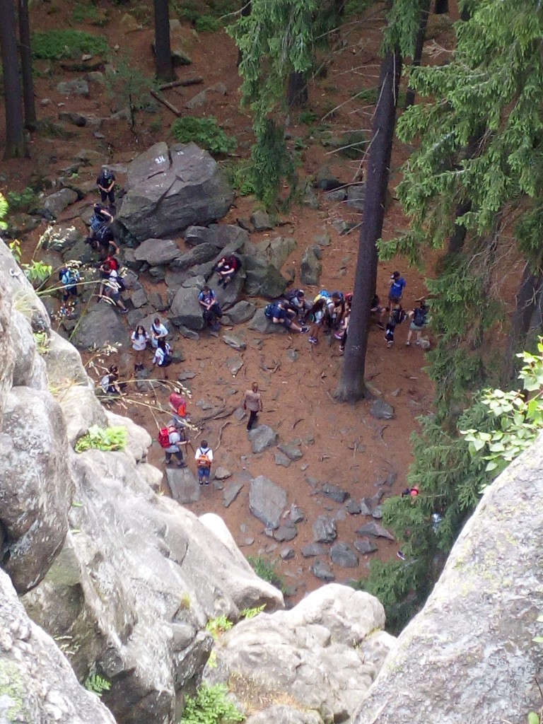 IMG_20190617_155257.jpg