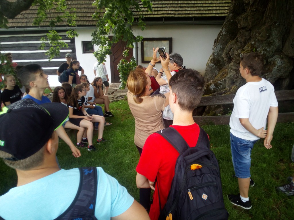 IMG_20190617_165125.jpg