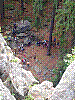 IMG_20190617_155257.jpg