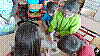 20190415_120355.jpg