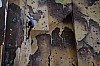 DSC_0133.jpg