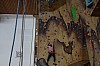 DSC_0182.jpg