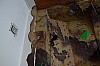 DSC_0214.jpg