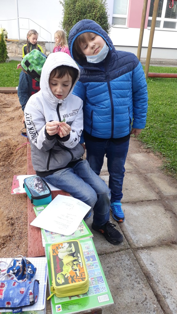 20201006_102506.jpg