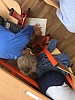 IMG_7684.jpg