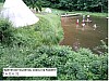 IMG_20210622_144808_585.jpg