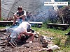 IMG_20210622_154215_462.jpg