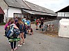 IMG_20210623_122040_808.jpg
