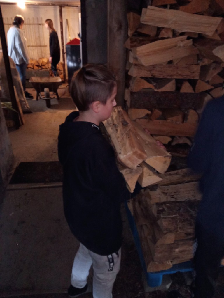 IMG_20220113_115555_892.jpg