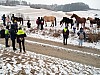 IMG_20220112_102629_995.jpg