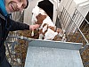 IMG_20220113_125423_337.jpg