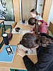 20220203_115556.jpg