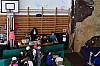 DSC_0267.jpg