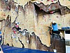 IMG_4214.jpg