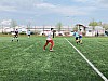 IMG_4220.jpg