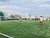 IMG_4221.jpg