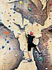 IMG_4258.jpg