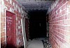 tel7.jpg