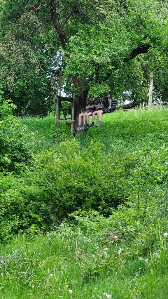 20220526_110245.jpg
