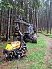 IMG_20220525_144709_230.jpg