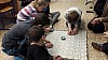 20220307_092739.jpg