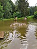 IMG_20220620_153028.jpg