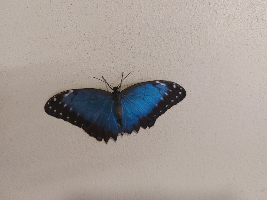 20220620_114551.jpg