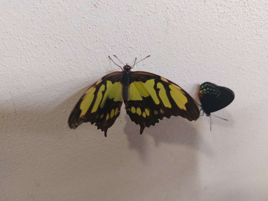 20220620_114601.jpg
