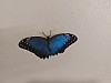 20220620_114551.jpg