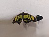 20220620_114601.jpg