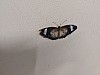 20220620_114611.jpg