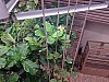 20220620_114733.jpg