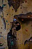 _DSC6489.jpg