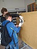 IMG_20221005_093251.jpg