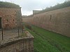 IMG_20220923_103655.jpg