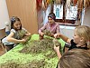 20220927_081303.jpg
