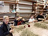 20220927_081404.jpg