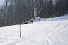 PAL01473.jpg