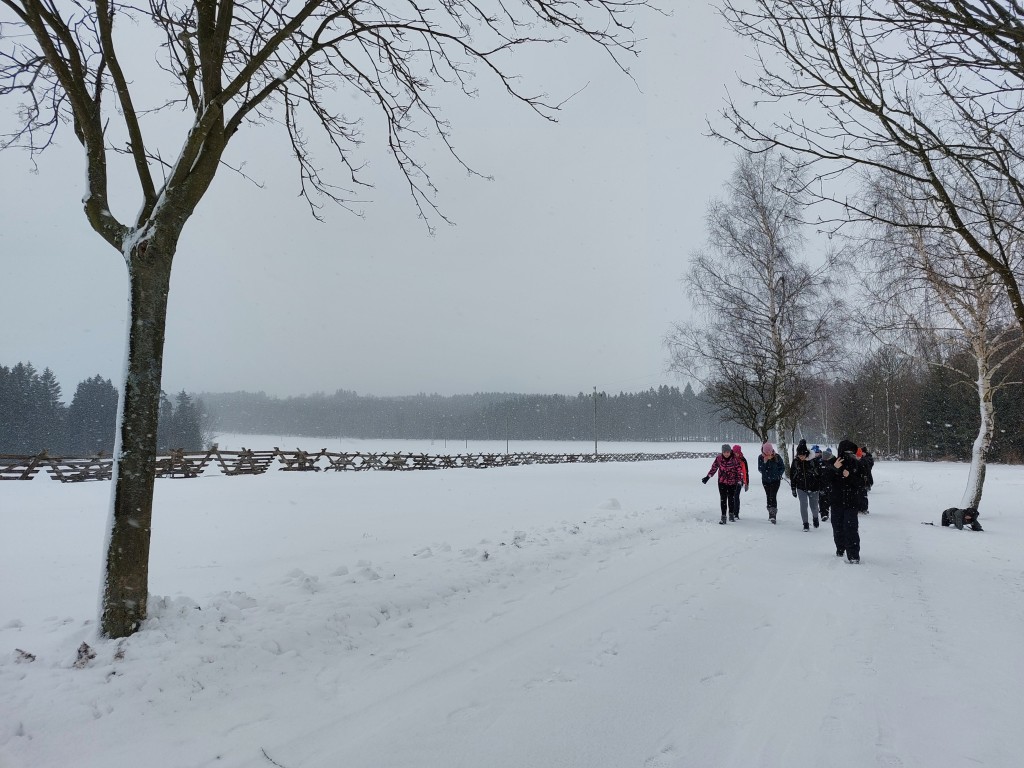 IMG-5876.jpg